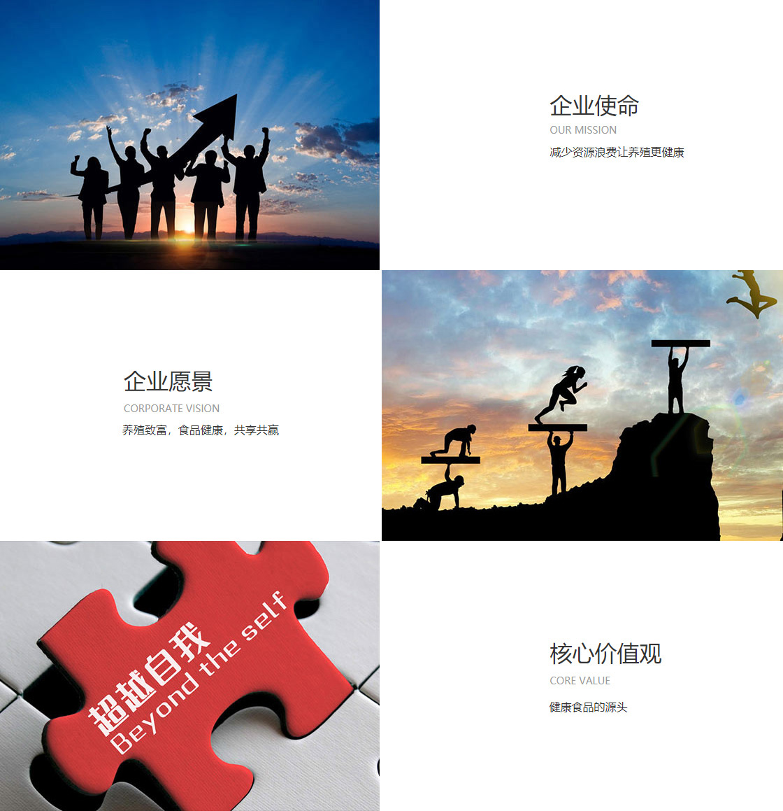 pg平台官方网站入口(图1)